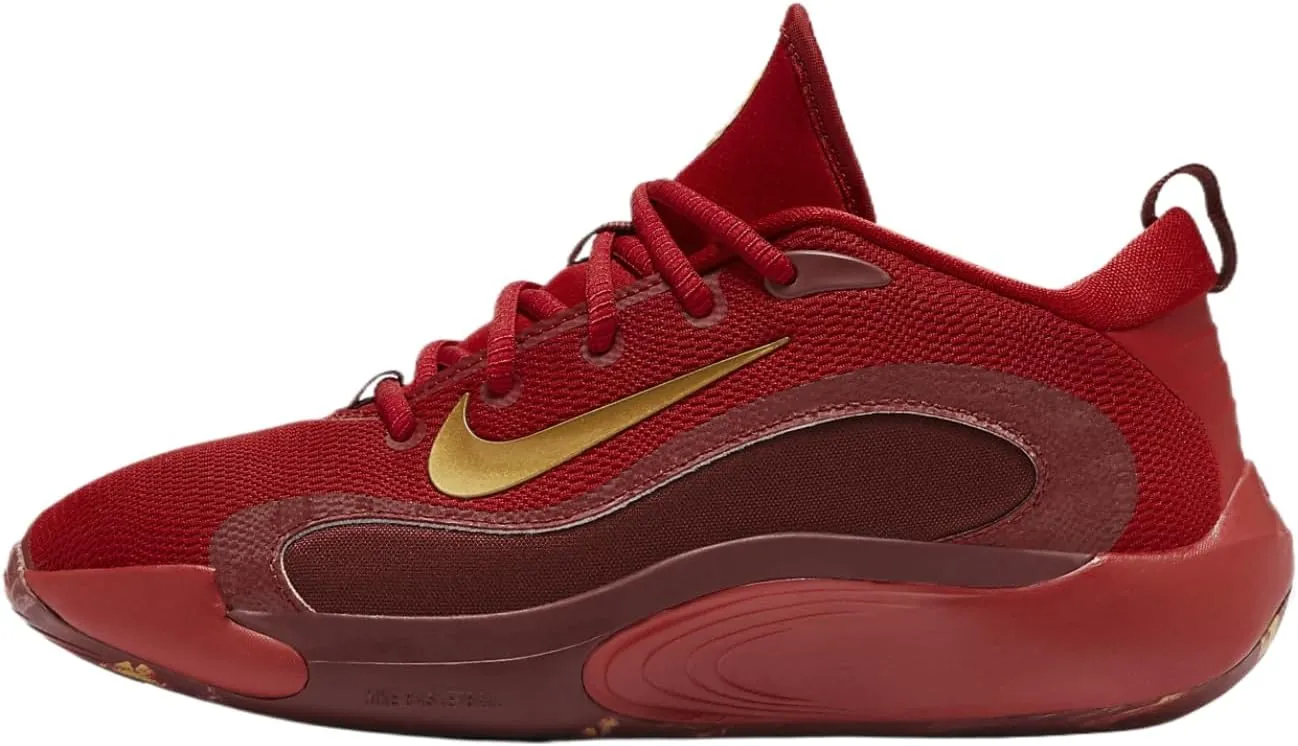 Nike IsoFly Big Kids' Basketball Shoes (FZ7298-600, Gym Red/Team Red/Dark Team Red/Metallic Gold) Size 3